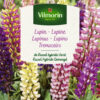 Semillas de Lupinus Variado (2 gr)