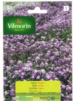 Semillas de Alisso Violeta (1 gr)