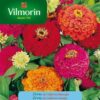 Semillas de Zinnia de California variada (2 grs)