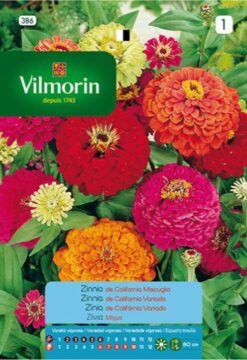 Semillas de Zinnia de California variada (2 grs)