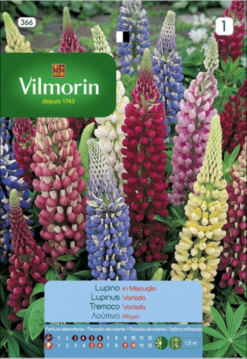 Semillas de Lupinus Variado (2 gr)