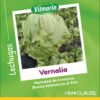 Semillas de Lechuga Escarola VERNALIA INV. (25.000 sem)