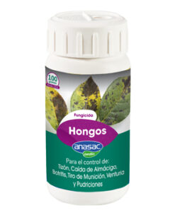 Hongos (100 grs)