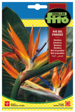 Semillas de Ave del Paraiso ,Strelitzia (5 sem)
