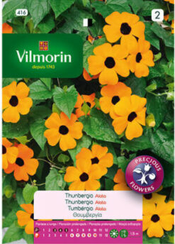Semillas de Thunbergia (2 grs)