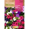 Semillas de Petunia Pendula Balcon (0.5 gr) Rocalba