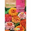 Semillas de Zinnia Gigante Bicolor Variada ( 6 gr)