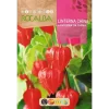 Semillas de Linterna China (1 gr)