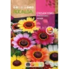 Semillas de Crisantemo Tricolor Variado (5 g) Rocalba