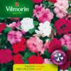 Impatiens, Alegria del Hogar (0,5 grs)