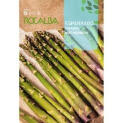 Semillas de Esparrago UC 157 (3 gr)