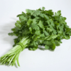 Semillas de Cilantro Santo ( 1 Kg)
