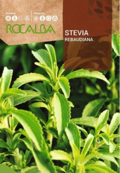 Semillas de Stevia Rebaudiana (0.02 gr)