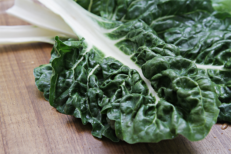 Semillería San Alfonso