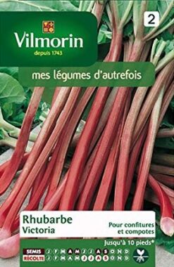 Semillas de Ruibarbo Victoria (1 g)