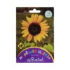 Semillas de Girasol de flores grandes (3 gr)