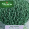 Semillas de Tomillo (1 gr) Vilmorin