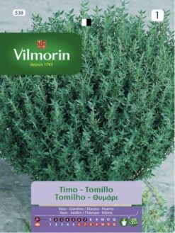 Semillas de Tomillo (1 gr) Vilmorin