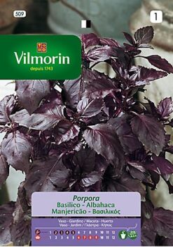 Semillas de Albahaca Pùrpura ( 1 Gr)