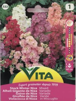 Semillas de Alheli Gigante de Niza variado (0.5 grs)