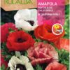 Semillas de Amapola Papoila de California doble variada (2 gr) Rocalba
