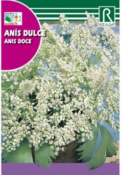 Semillas de Anis Dulce (8 gr)