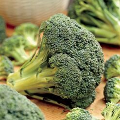 Semillas de Brocoli Italian Green Sprouting (100 grs)