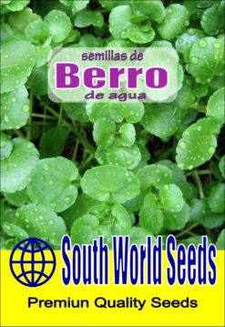 Semillas de Berro de Agua (1 gr)