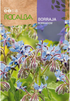 Semillas de Borraja (4 gr)