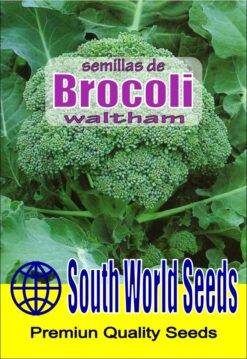 Semillas de Brocoli waltham (4 grs)