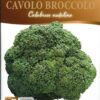 Semillas de Brocoli Calabrese (5 gr)