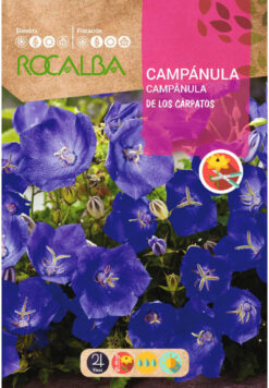 Semillas de Campanula de Los Carpatos Azul (1 g) Roc