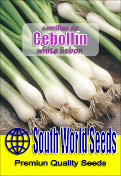 Semillas de Cebollin (3 grs)