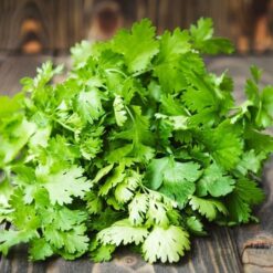Semillas de Cilantro American Long Standing