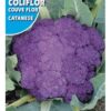 Semillas de Coliflor Violeta Catanese (3 grs)