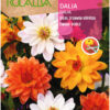 Semillas de Dalia ideal Dúnwin Enana (2 gr)