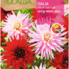 Semillas de Dalia Cactus Hibrida Doble (0.5 gr)