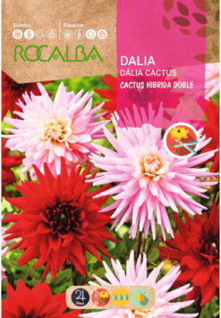 Semillas de Dalia Cactus Hibrida Doble (0.5 gr)