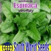 Semillas de Espinaca Viroflay (5 grs)