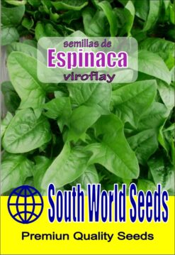 Semillas de Espinaca Viroflay (5 grs)