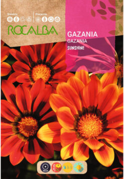 Semillas de Gazania Sunshine (0.2 gr)