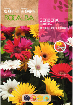 Semillas de Gerbera Rayon Hibrida (0.1 gr)