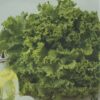 Semillas de Lechuga Grand Rapids BONANZA