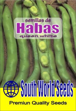 Semillas de Haba White Queen (25 grs)