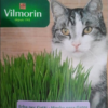 Semillas de Hierba para Gatos (10 grs)