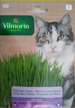 Semillas de Hierba para Gatos (10 grs)