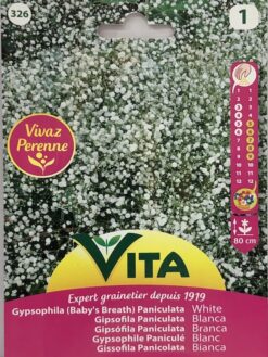 Semillas de Gipsofila Paniculata (1.5 gr)
