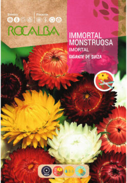 Semillas de Siempreviva Inmortal Monstruosa (3 gr)
