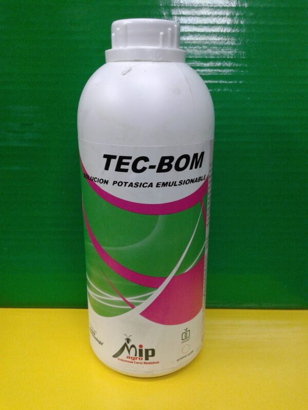 Semillería San Alfonso