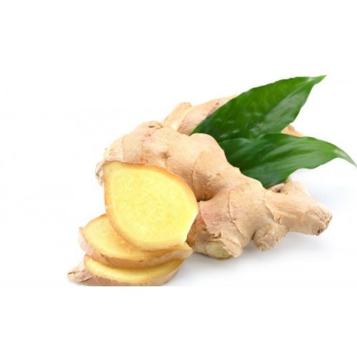 Semillería San Alfonso